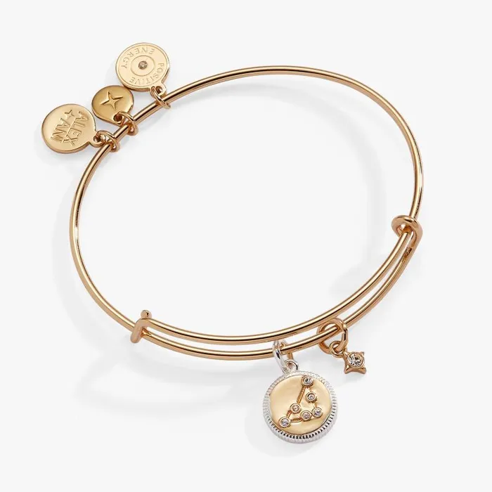 Bracelets Women Alex And Ani Capricorn Zodiac Charm Bangle Two Tone