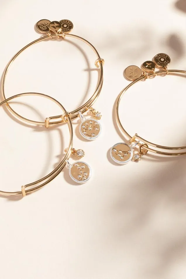 Bracelets Women Alex And Ani Capricorn Zodiac Charm Bangle Two Tone