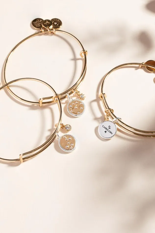Bracelets Women Alex And Ani Capricorn Zodiac Charm Bangle Two Tone