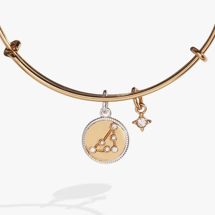 Bracelets Women Alex And Ani Capricorn Zodiac Charm Bangle Two Tone
