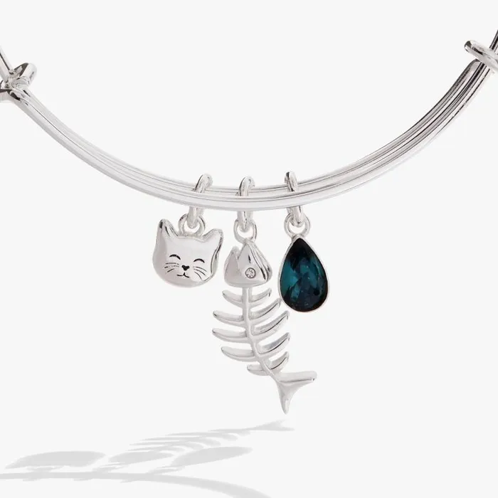 Bracelets Women Alex And Ani Fish Bone Cat Bangle Silver