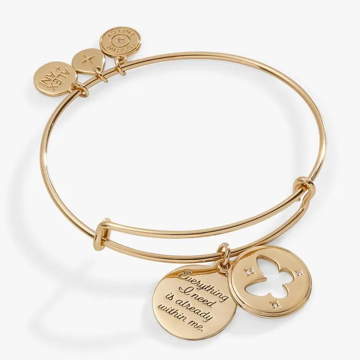 Bracelets Women Alex And Ani Hidden Message Butterfly Affirmation Bangle Gold Bracelets Women Alex And Ani Hidden Message Butterfly Affirmation Bangle Gold