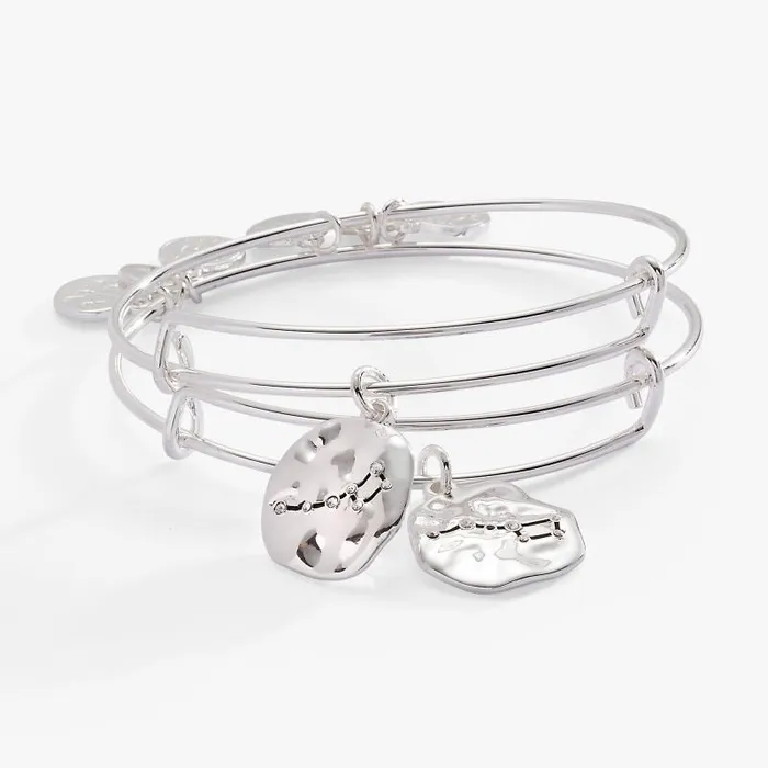 Bracelets Women Alex And Ani Little Dipper Bff Bangle Set Of 2 Silver
