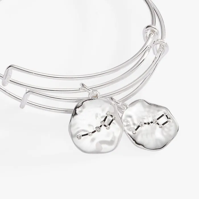 Bracelets Women Alex And Ani Little Dipper Bff Bangle Set Of 2 Silver