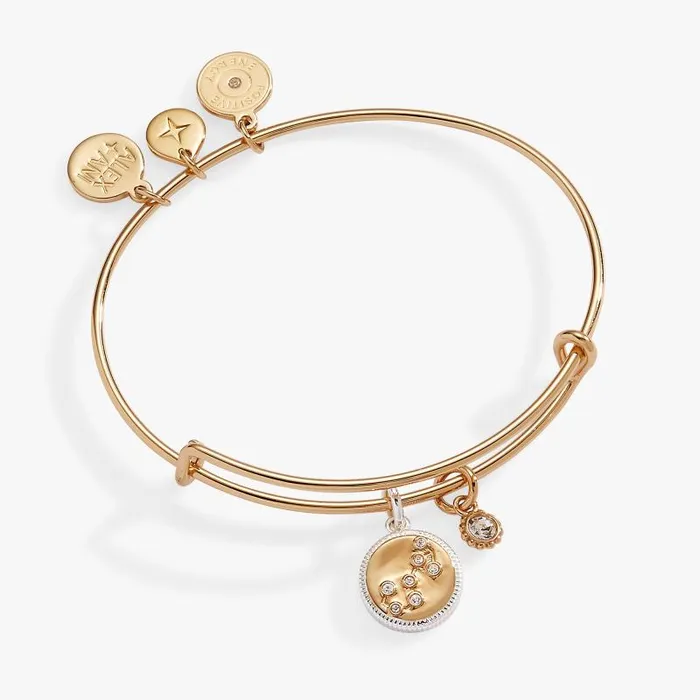 Bracelets Women Alex And Ani Scorpio Zodiac Charm Bangle Two Tone