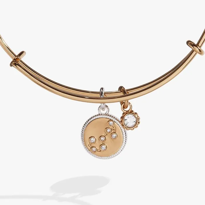 Bracelets Women Alex And Ani Scorpio Zodiac Charm Bangle Two Tone