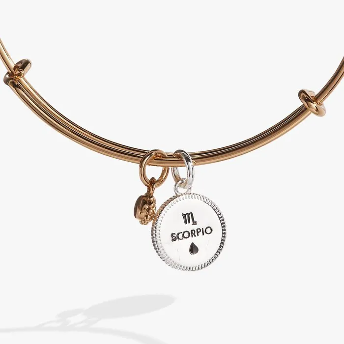 Bracelets Women Alex And Ani Scorpio Zodiac Charm Bangle Two Tone