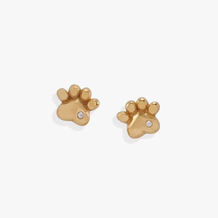 Earrings Women Alex And Ani Crystal Paw Mini Stud Earrings Stainless Steel Gold