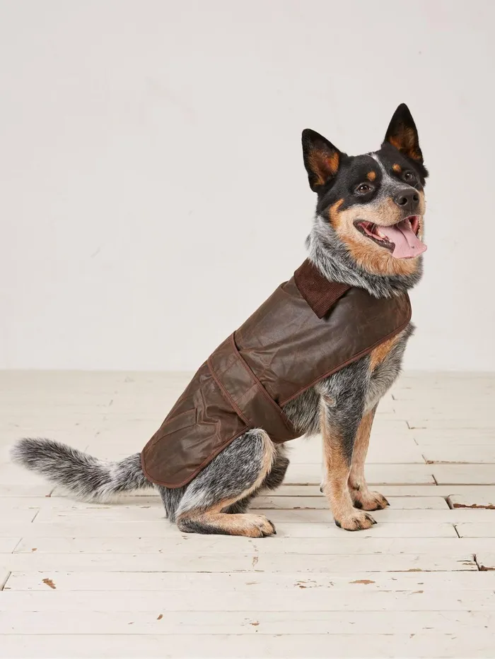 Fat Face Pet Accessories Brown Sussex Dog Coat