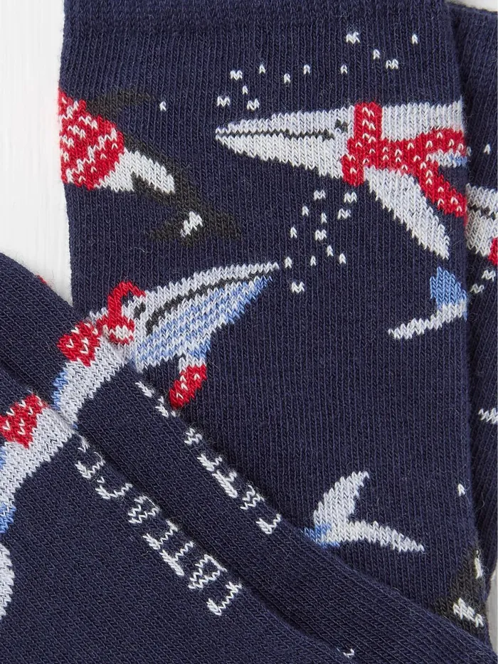 Fat Face Socks Blue Shelter Wilson The Whale Socks 1 Pack 8211 Kids Fat Face Socks Blue Shelter Wilson The Whale Socks 1 Pack 8211 Kids