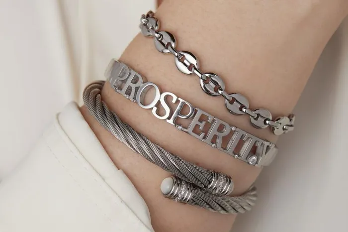Fine Jewelry Women Alex And Ani Prosperity Hinge Bracelet Stainless Steel Silver