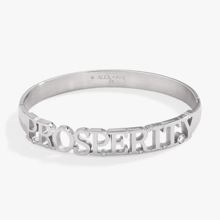 Fine Jewelry Women Alex And Ani Prosperity Hinge Bracelet Stainless Steel Silver
