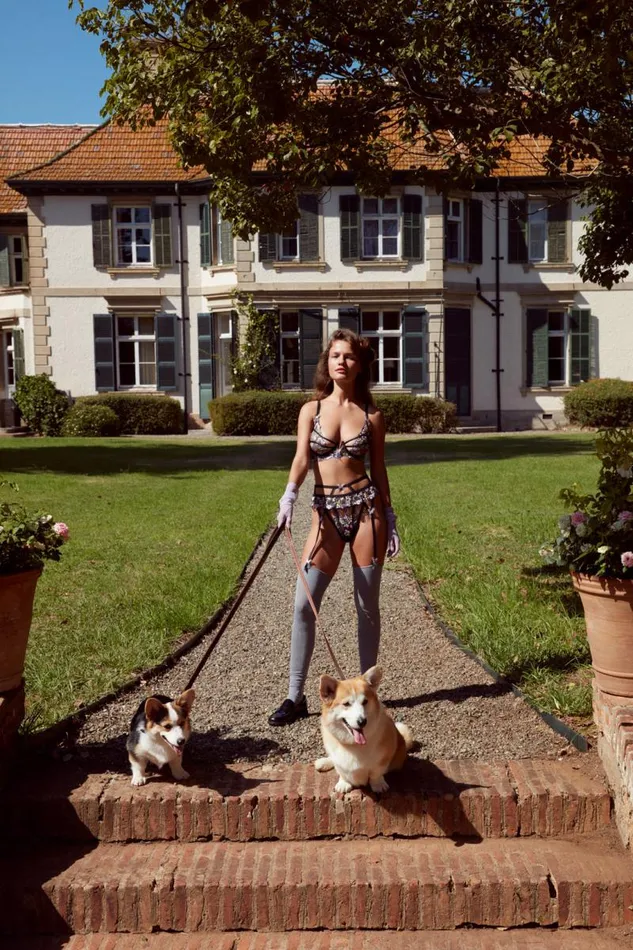 For Love and Lemons Lingerie Elektra Underwire Bra Black 8211 Women For Love and Lemons Lingerie Elektra Underwire Bra Black 8211 Women
