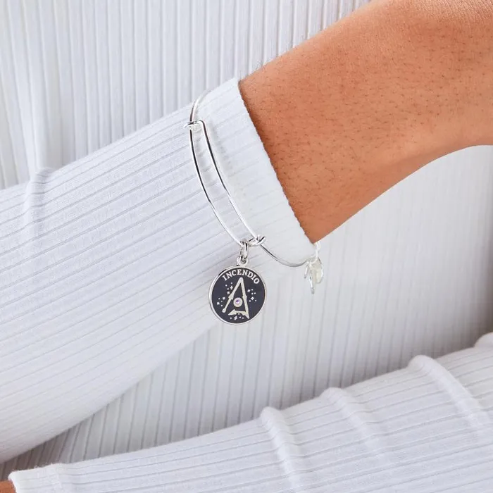 Iconic Women Alex And Ani Harry Potter 039Incendio039 Charm Bangle Bracelet Shiny Silver