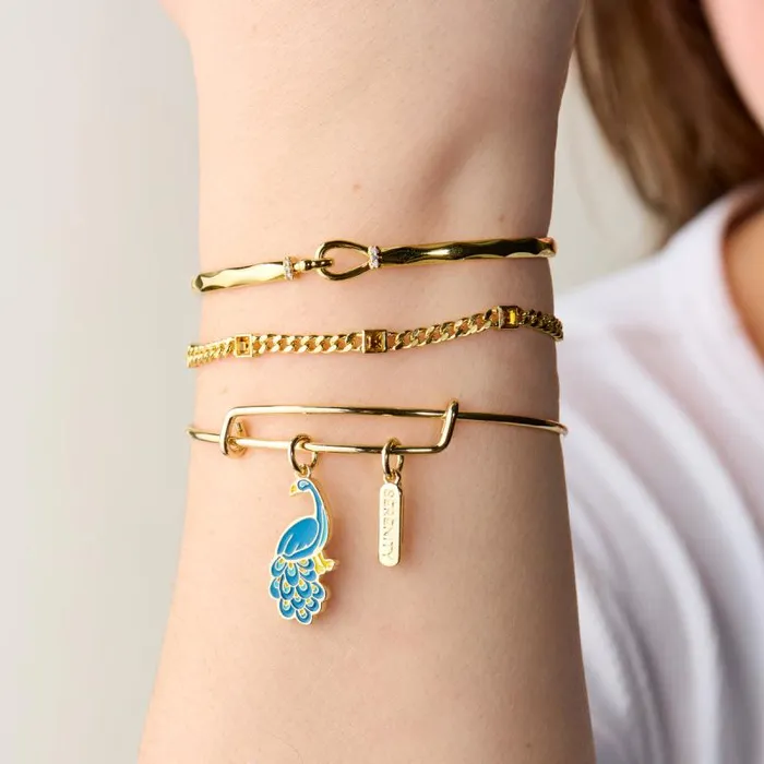 Iconic Women Alex And Ani Serenity039 Peacock Duo Charm Bangle Bracelet Gold