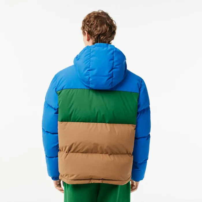 Jackets and Coats Men Lacoste Men039s Colorblock Hooded Down Jacket Blue Green Brown Nij