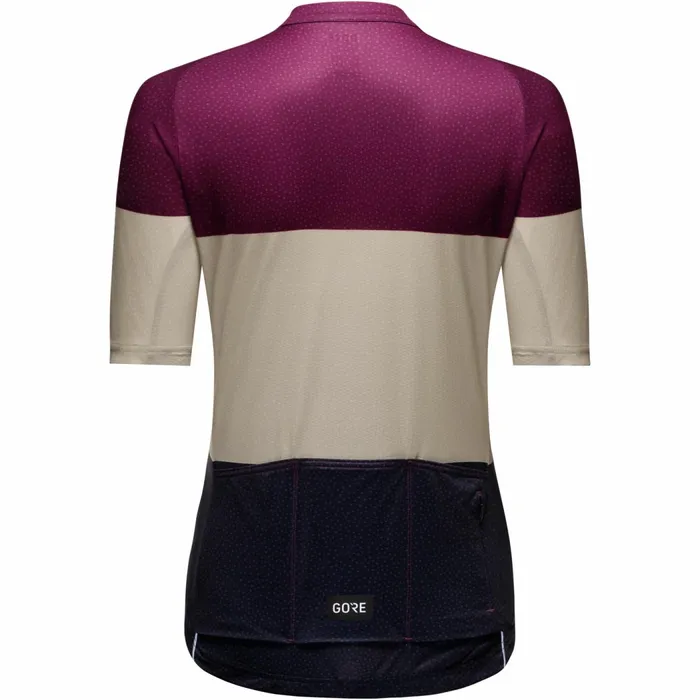 Jerseys and Shirts Women GOREWEAR Spirit Stripes Jersey Womens Process Purpletech Beige