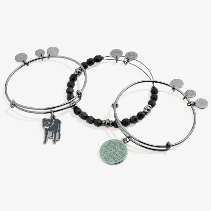 Jewelry Sets Women Alex And Ani Harry Potter Sirius Black Charm Bangle Bracelets Set Of 3 Midnight Silver