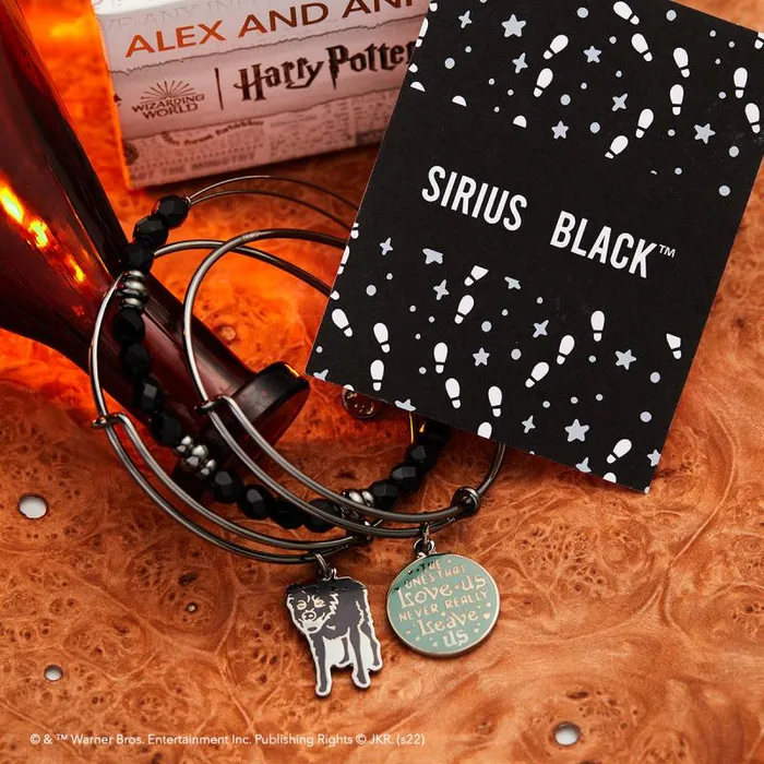 Jewelry Sets Women Alex And Ani Harry Potter Sirius Black Charm Bangle Bracelets Set Of 3 Midnight Silver