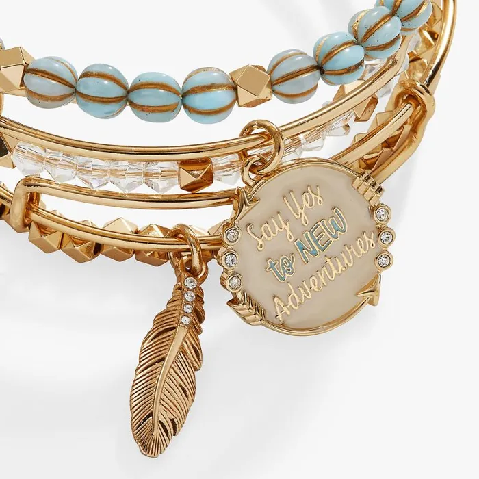 Jewelry Sets Women Alex And Ani Say Yes To New Adventures Bangle Set Of 5 Gold