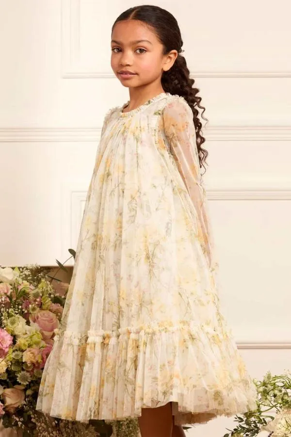 KIDS Needle and Thread Rose Long Sleeve Kids Dress Multi