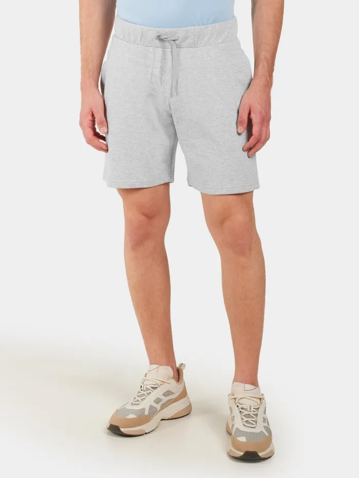 Men Aluminum Melange Didriksons Shorts