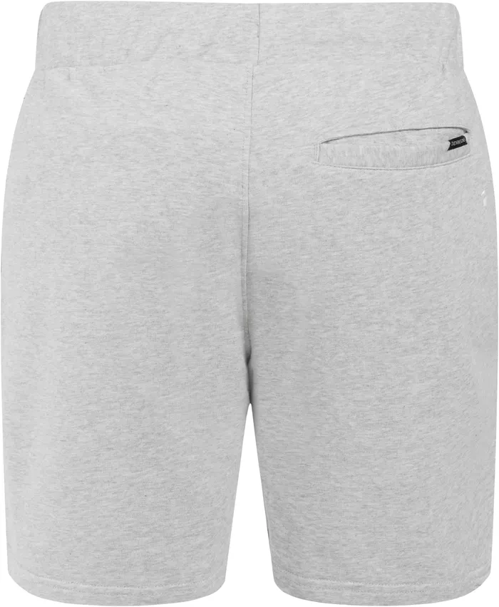 Men Aluminum Melange Didriksons Shorts