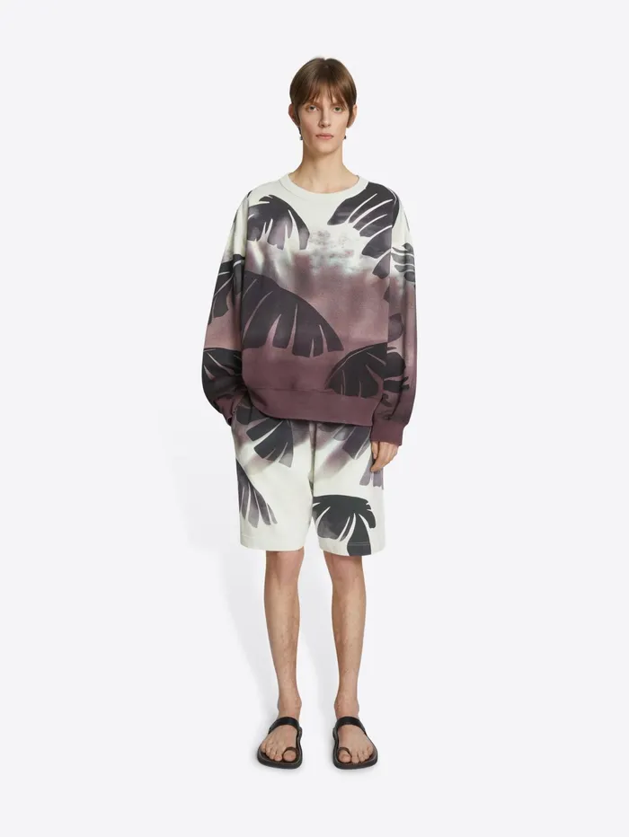 Men Dries Van Noten Tshirts and Sweatshirts Printed Sweatshorts