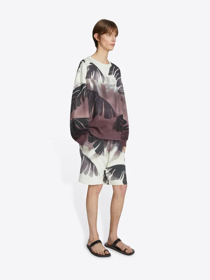Men Dries Van Noten Tshirts and Sweatshirts Printed Sweatshorts