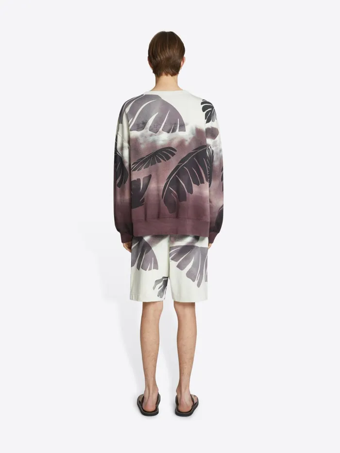 Men Dries Van Noten Tshirts and Sweatshirts Printed Sweatshorts