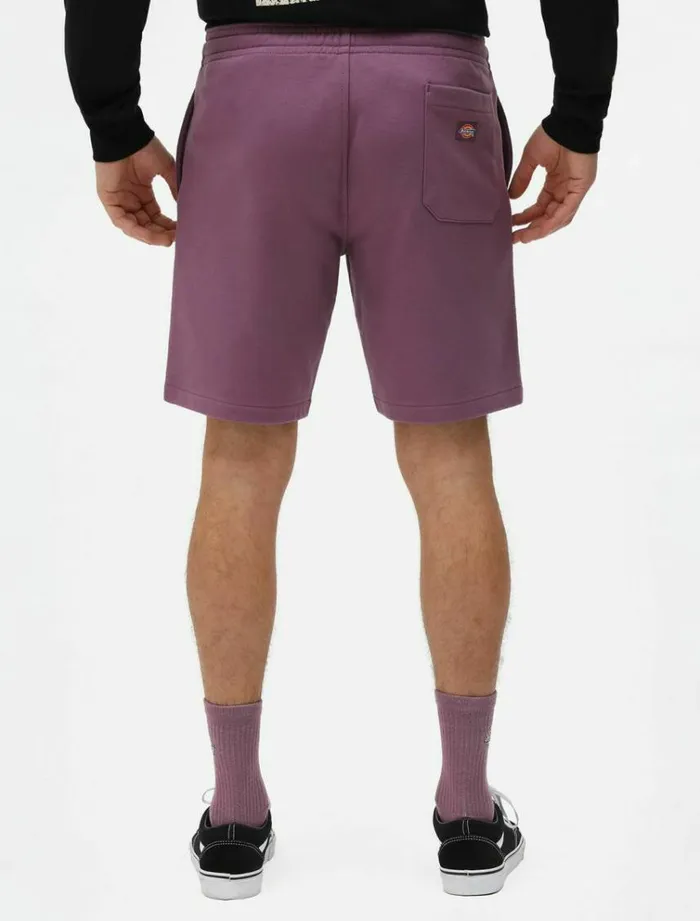 Men Shorts Dickies Champlin Short Purple Gumdrop