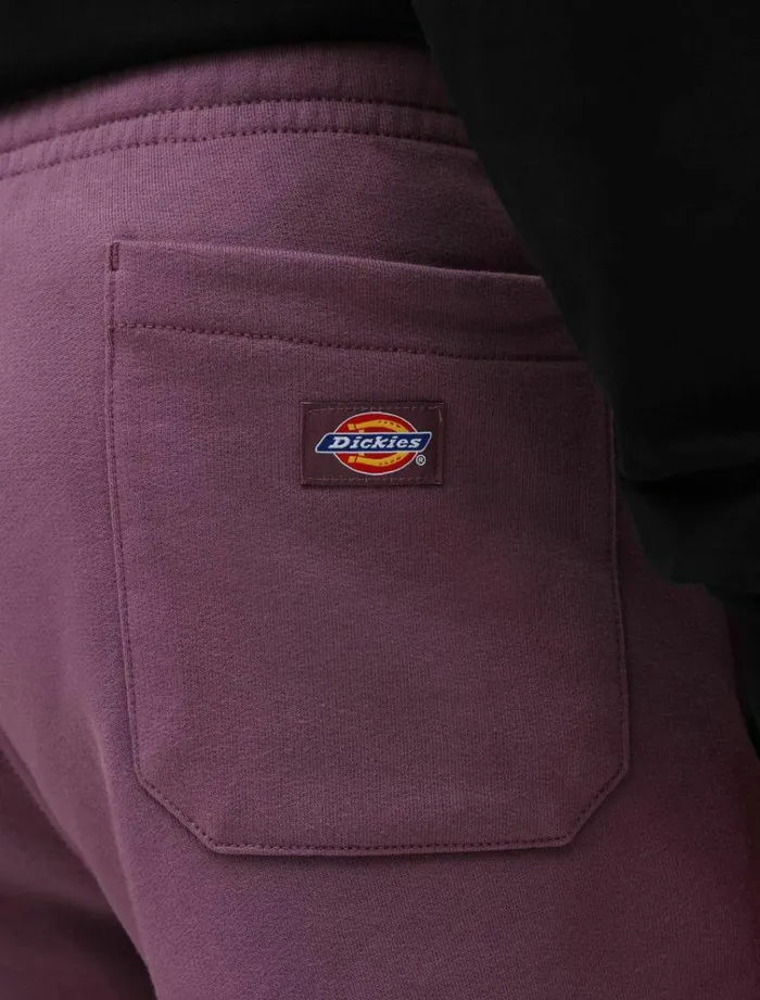 Men Shorts Dickies Champlin Short Purple Gumdrop