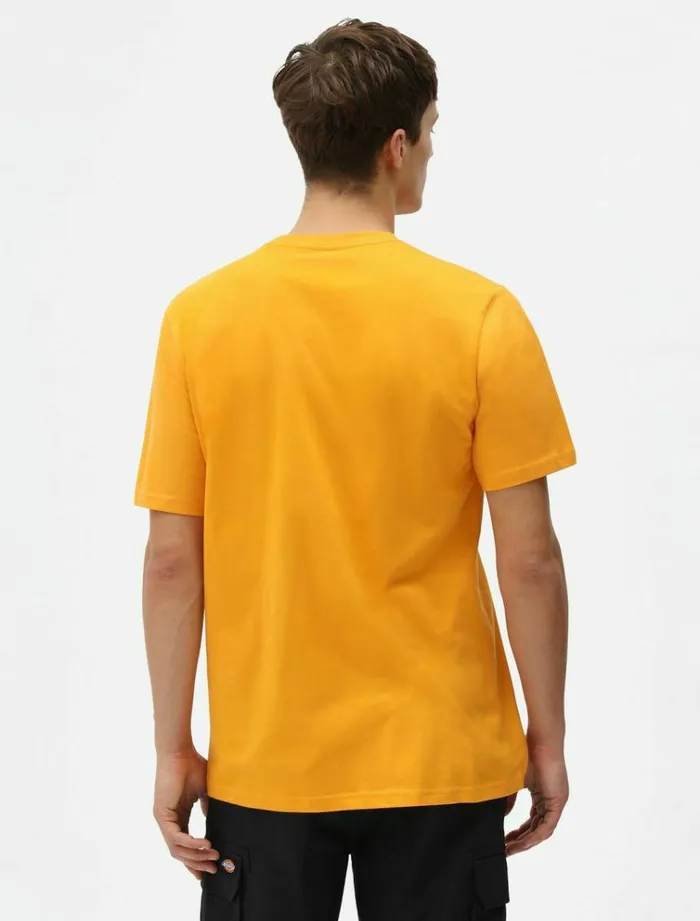 Men TShirts Dickies Mapleton TShirt Cadnium Yellow