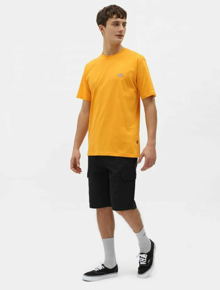 Men TShirts Dickies Mapleton TShirt Cadnium Yellow