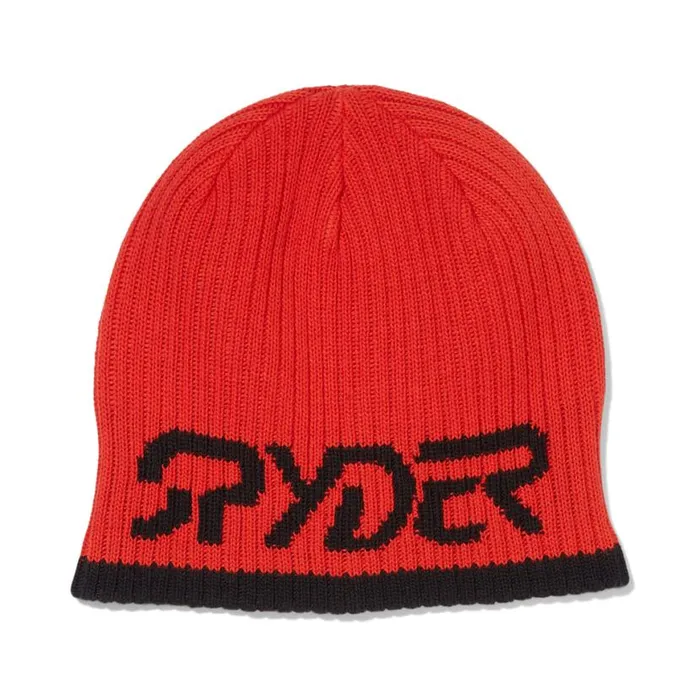 Mens Logo Beanie Volcano Spyder Hats