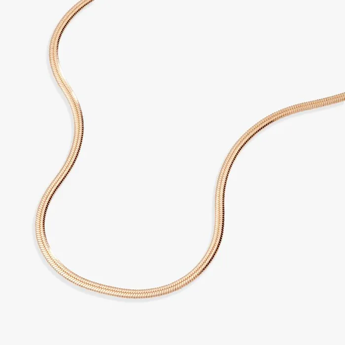 Necklaces Women Alex And Ani Herringbone Chain Necklace Shiny Gold
