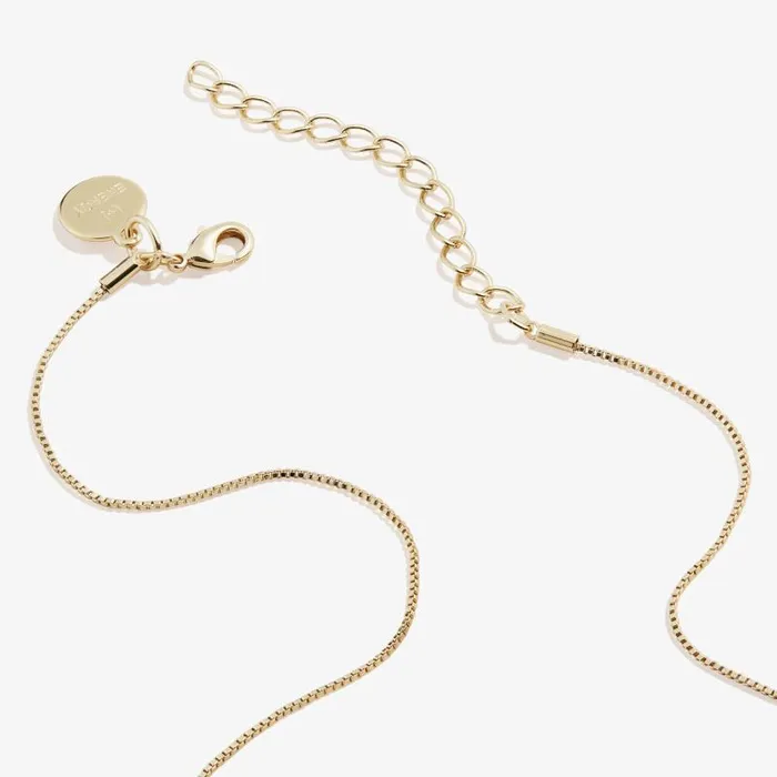 Necklaces Women Alex And Ani Scarlet Heart Necklace January Birthstone Silver