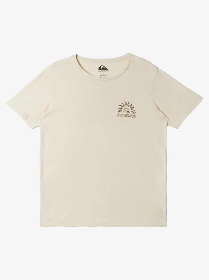 Quiksilver 816 Earthy Type TShirt Birch Boys Tees