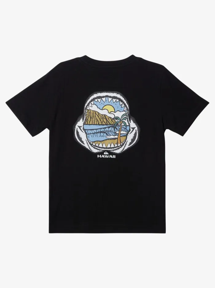 Quiksilver 816 Hawaii Keep In Rhythm Boy TShirt Black Boys Tees Quiksilver 816 Hawaii Keep In Rhythm Boy TShirt Black Boys Tees