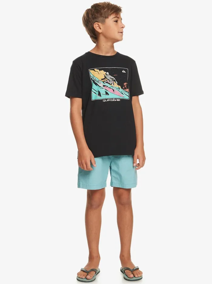 Quiksilver 816 Taxer 15034 Elastic Waist Shorts Cameo Blue Boys Shorts Quiksilver 816 Taxer 15034 Elastic Waist Shorts Cameo Blue Boys Shorts