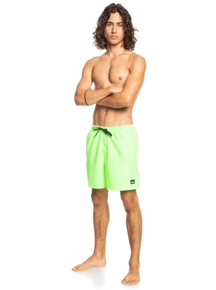 Quiksilver Everyday 17034 Volleys Green Gecko Mens Elastic Waist Quiksilver Everyday 17034 Volleys Green Gecko Mens Elastic Waist