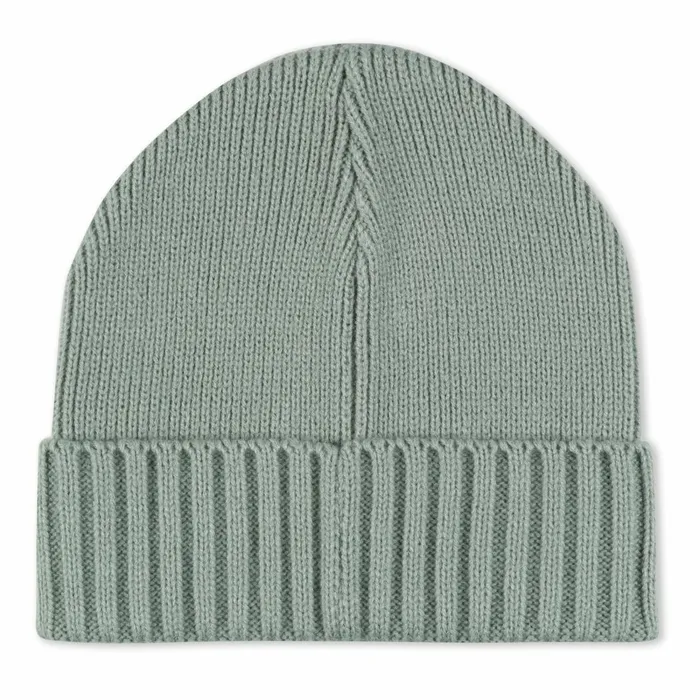 Ripndip Lord Nermal Beanie Sage Beanies