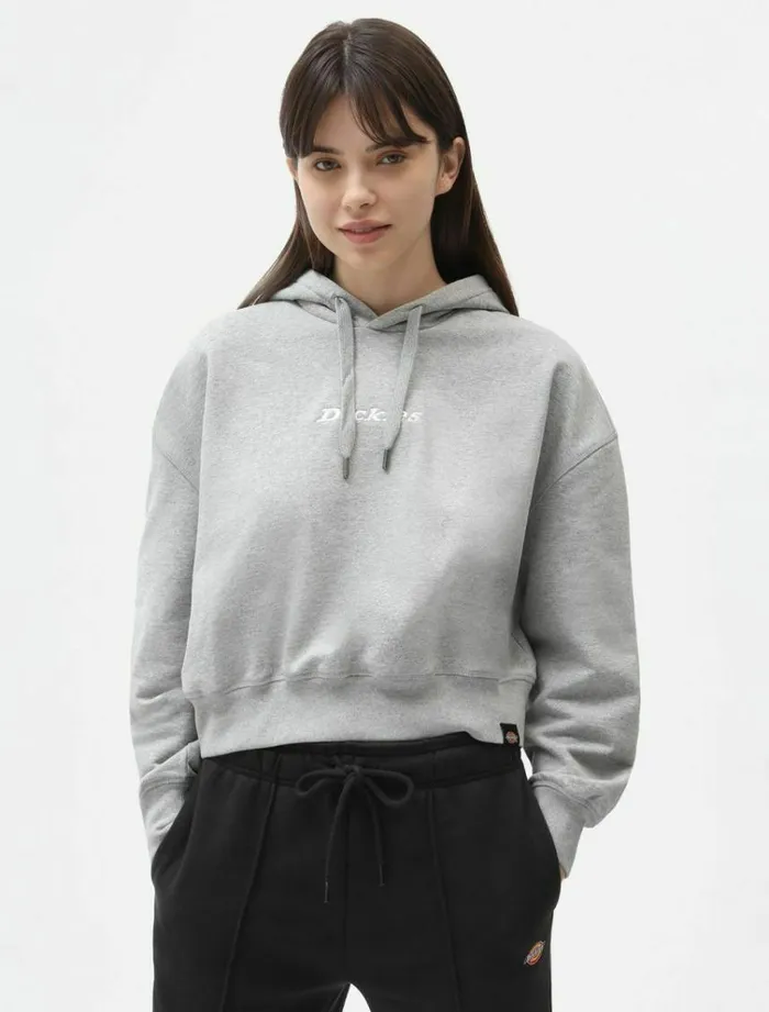 Women Jumpers and Sweatshirts Dickies Loretto Boxy Hoodie Grey Melange