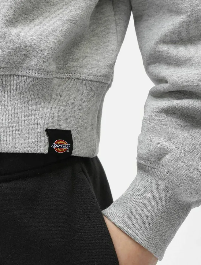 Women Jumpers and Sweatshirts Dickies Loretto Boxy Hoodie Grey Melange