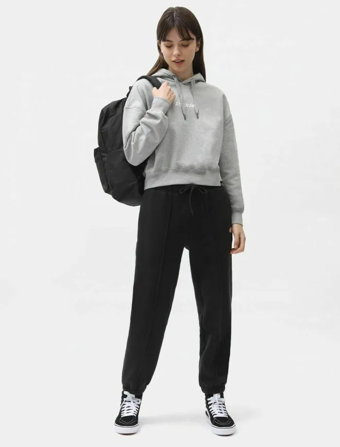 Women Jumpers and Sweatshirts Dickies Loretto Boxy Hoodie Grey Melange