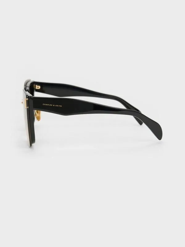 Women Recycled Acetate Geometric Butterfly Sunglasses 8211 Black CHARLES and KEITH Butterfly