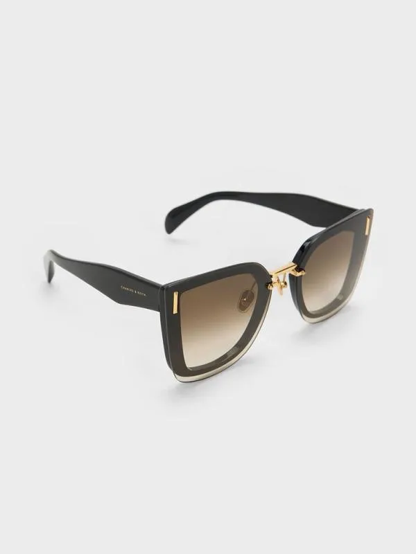 Women Recycled Acetate Geometric Butterfly Sunglasses 8211 Black CHARLES and KEITH Butterfly