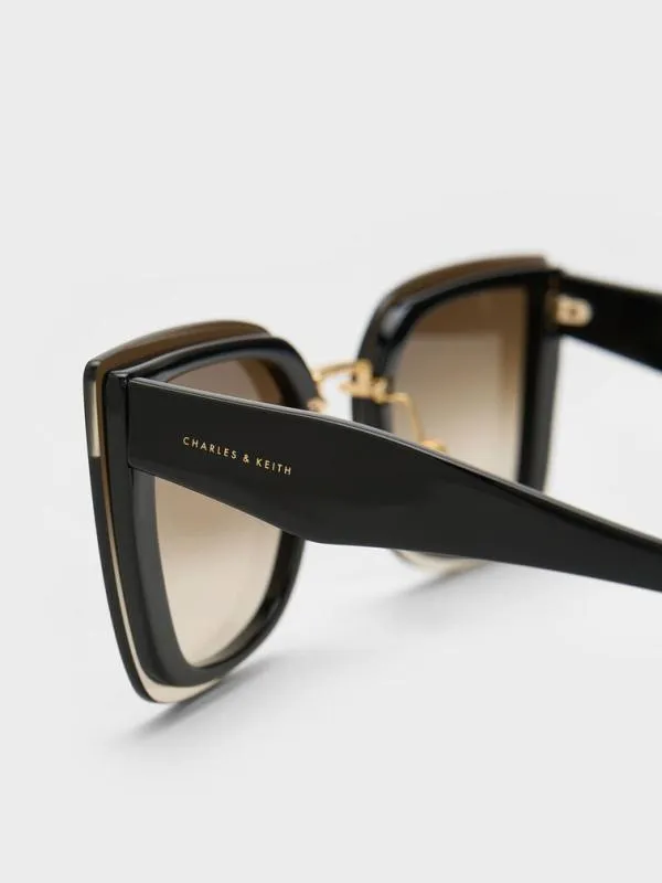 Women Recycled Acetate Geometric Butterfly Sunglasses 8211 Black CHARLES and KEITH Butterfly