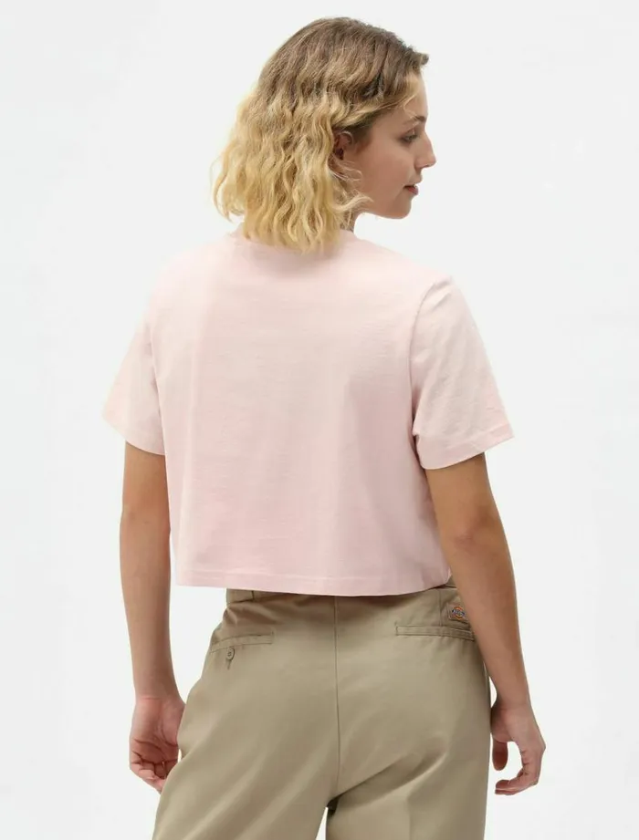 Women TShirts and Tops Dickies Porterdale Crop TShirt Light Pk